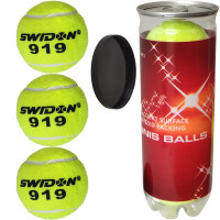 Мячи для большого тенниса Swidon 919 3 штуки (в тубе) E29379