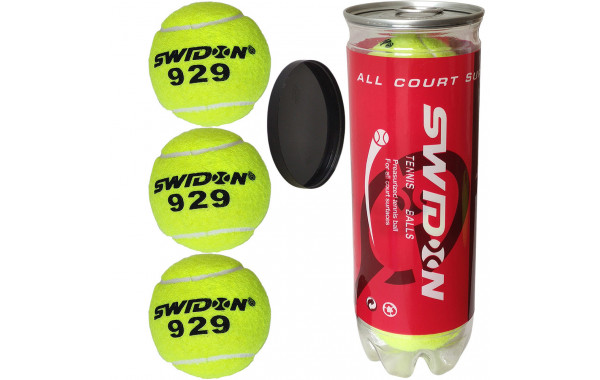 Мячи для большого тенниса Swidon 929 3 штуки (в тубе) E29377 600_380