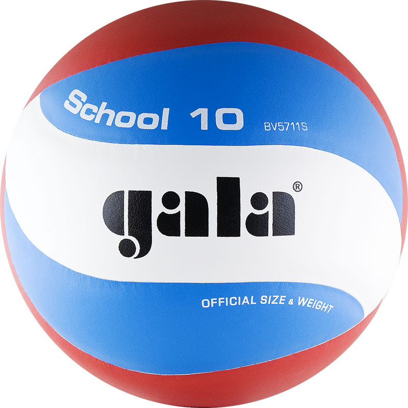 фото Мяч волейбольный gala school 10 bv5711s р.5