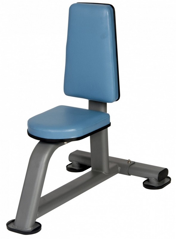 фото Стул bencarfitness ts-p030