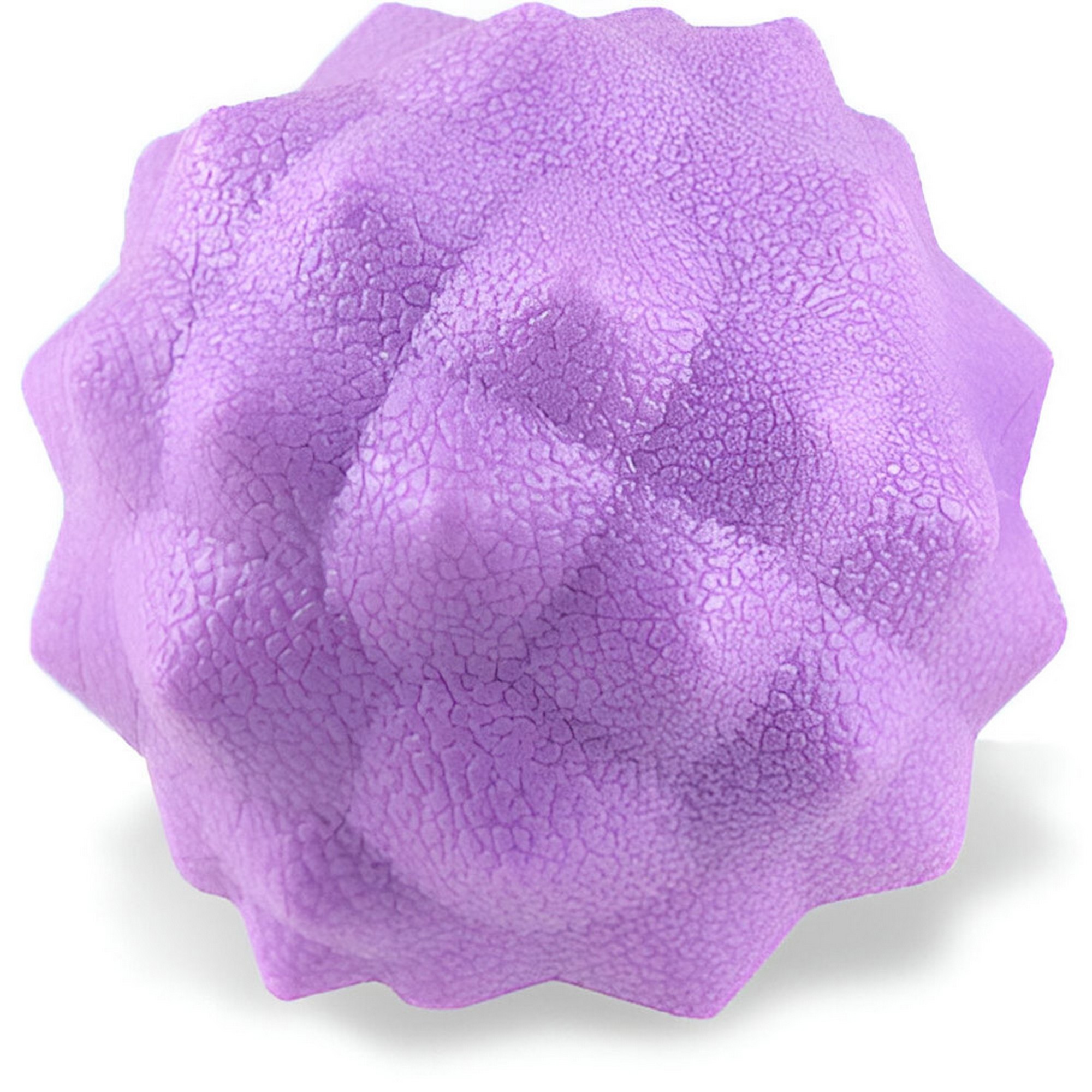 фото Мяч массажный sportex мфр одинарный d65мм e4159 фиолетовый