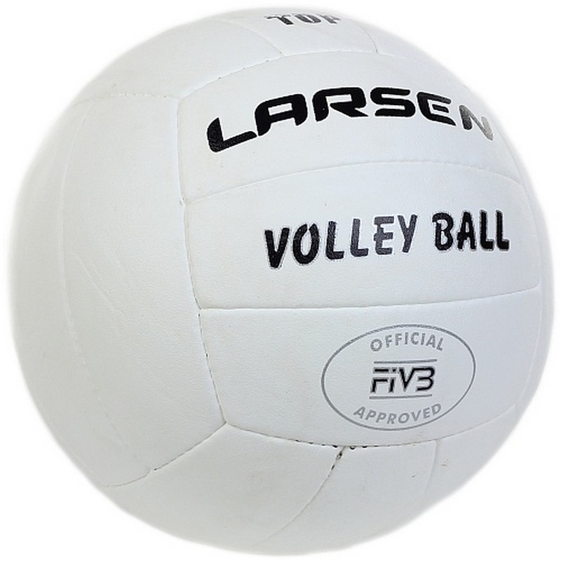 фото Мяч волейбольный larsen top р.5
