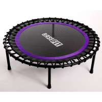 Батут BaseFit TR-501 101 см, фиолетовый