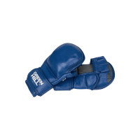 Перчатки для боевого самбо Green Hill FIAS MMA-0117u синий