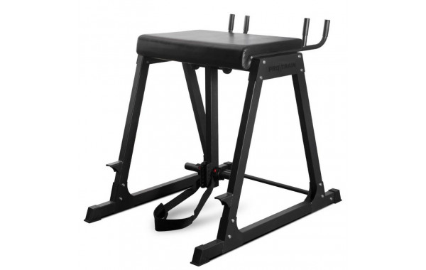 Гиперэкстензия обратная Protrain 678 RH 600_380