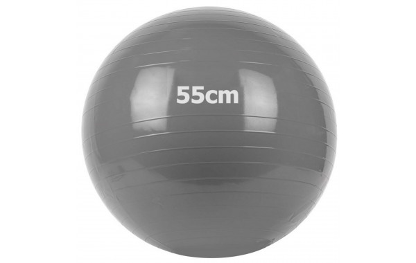 Мяч гимнастический Gum Ball d55 см Sportex GM-55-1 серый 600_380