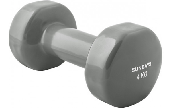 Гантель 4кг Sundays Fitness IR92005 6062980 серый 600_380