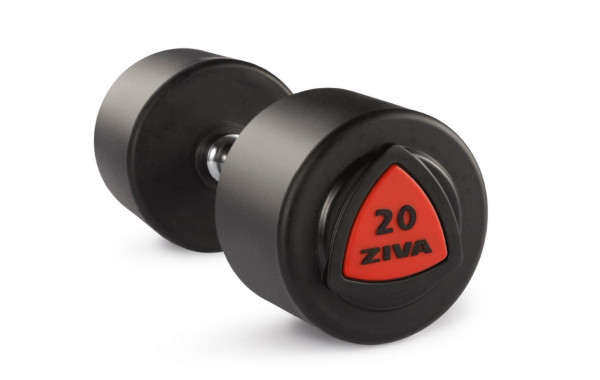 Гантель серии ZVO уретановое покрытие красная вставка 34 кг Ziva ZVO-DBPU-1023 600_380