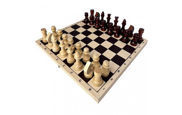 Шахматы обиходные лакированные с доской 29x14,5x3,8 600_380