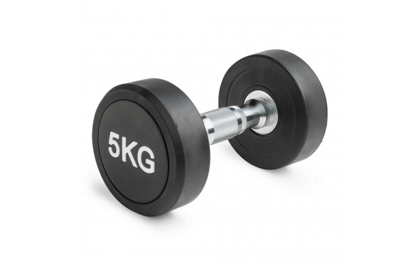 Гантель неразборная круглая 5 кг VictoryFit VF-R050 600_380