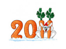 Поздравление с Новым 2011-ым Годом!