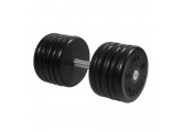 Гантель классик MB Barbell с вращающейся ручкой 55 кг MB-FdbEM-B55