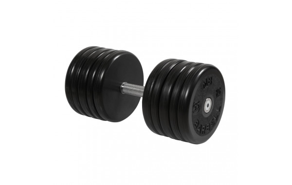 Гантель классик MB Barbell с вращающейся ручкой 55 кг MB-FdbEM-B55 600_380