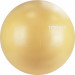 Мяч гимнастический d65 см Torres с насосом AL122165BG песочный 75_75