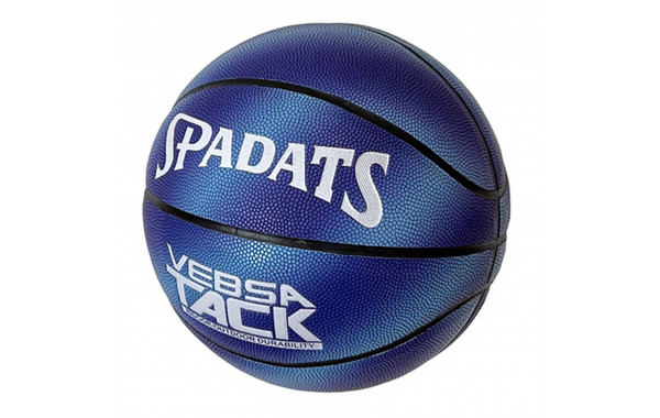Мяч баскетбольный Sportex E39989 р.7 600_380