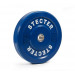Диск тренировочный Stecter D50 мм 20 кг (синий) 2194 75_75