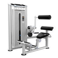 Разгибание спины (Back Extension) DHZ U-2031