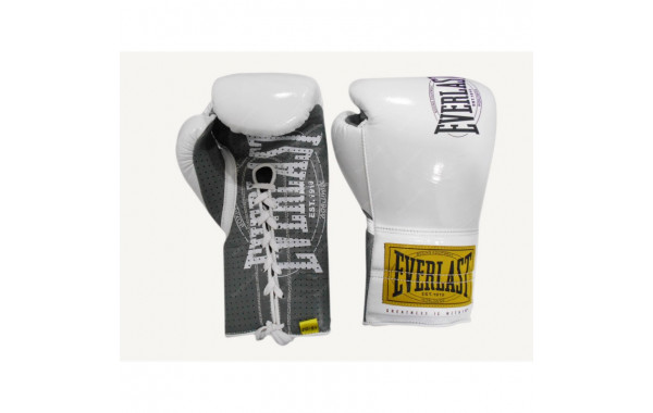 Боксерские перчатки Everlast боевые 1910 Classic 8oz белый P00001663 600_380