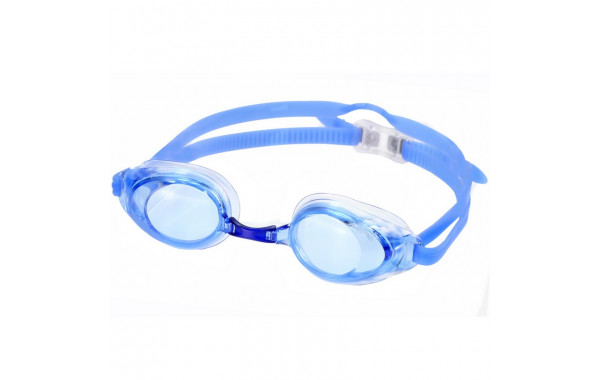Очки для плавания Larsen R14 синий 600_380