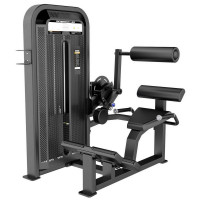 Разгибание спины (Back Extension) DHZ E-5031