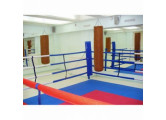 Ринг боксерский на растяжках Atlet 7х7 м, боевая зона 6х6 м, монтажная площадка 10х10 м IMP-A426