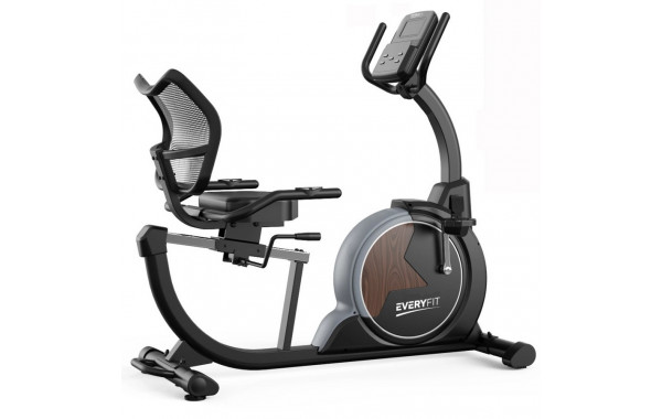 Велотренажер горизонтальный Everyfit ERB01 600_380