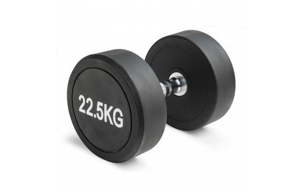 Гантель неразборная круглая 22,5 кг VictoryFit VF-R225 600_380