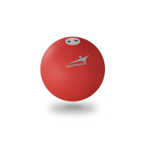 Ядро тренировочное стальное 5кг DSAthletic