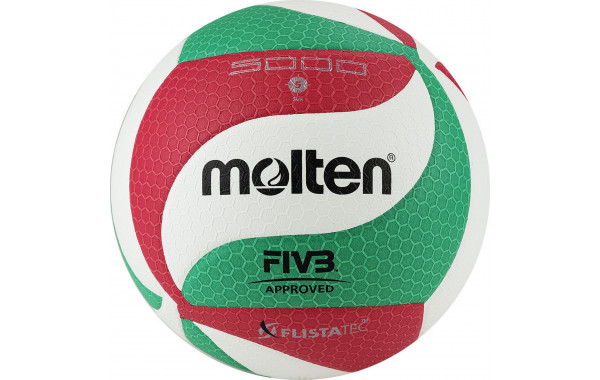 Мяч волейбольный Molten V5M5000 р. 5,FIVB Appr 600_380