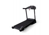 Электрическая беговая дорожка Everyfit FFT020