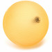 Твердый мяч Franklin Method Tought Ball LC\90.08\00-00-00 оранжевый 75_75