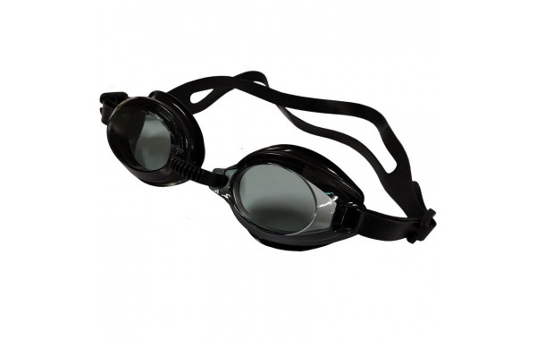 Очки для плавания Sportex B31580-2 Черный 600_380