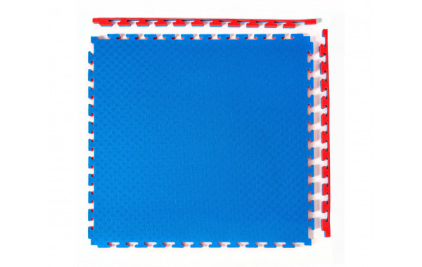 Будо-мат, 100x100 см, 20 мм DFC 12272 сине-красный 600_380