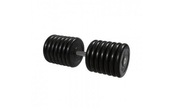 Гантель Профи, 71 кг MB Barbell MB-FdbM-B71 600_380