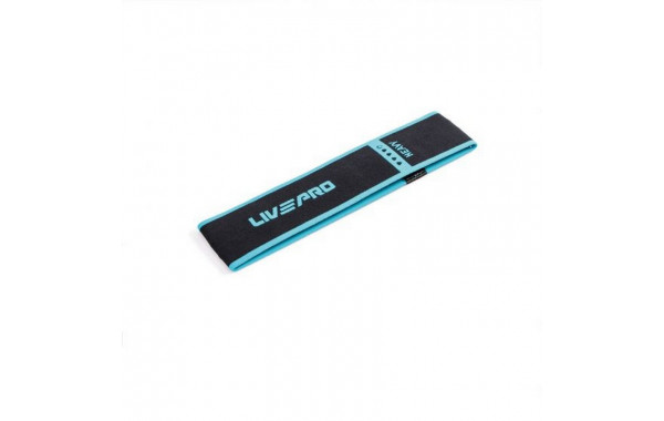 Тканевый амортизатор Live Pro Resistance Loop Band LP8414-S-BK 600_380