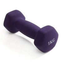 Гантель неразборная гексагональная неопрен 1 кг VictoryFit VF-DHN010 фиолетовый