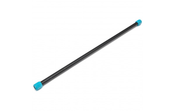 Гимнастическая палка Live Pro Weighted Bar LP8145-6 6 кг, синий/черный 600_380