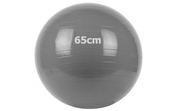 Мяч гимнастический Gum Ball d65 см Sportex GM-65-1 серый 600_380