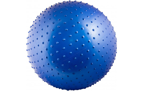 Мяч массажный d65 см Torres AL121265 синий 600_380