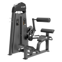 Разгибание спины (Back Extension) DHZ E-3031