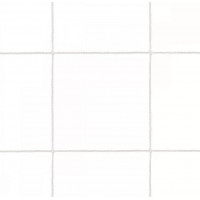 Сетка заградительная яч. 100*100 нить 2,0 мм (белый\черный) ПП DomSetka