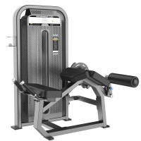 Сгибание ног лежа (Prone Leg Cur) DHZ E-5001 (U3001D)