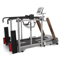 Беговая дорожка SPIRIT LW850