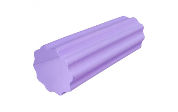 Ролик массажный для йоги Sportex 30х15см B31596 фиолетовый 600_380