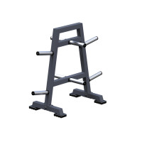 Стойка для дисков Олимп ARMS ARМ024.2