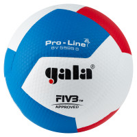 Мяч волейбольный Gala Pro-Line 12 FIVB BV5595S р.5