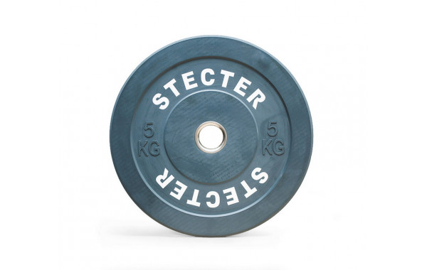 Диск тренировочный Stecter D50 мм 5 кг (серый) 2191 600_380