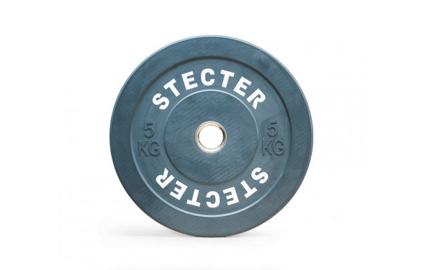 Диск тренировочный Stecter D50 мм 5 кг (серый) 2191 600_380