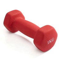 Гантель гексагональная неопрен 1 кг VictoryFit VF-DHN010-R красный