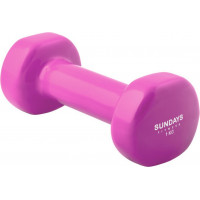 Гантель 1кг Sundays Fitness LKDB-504A 6590688